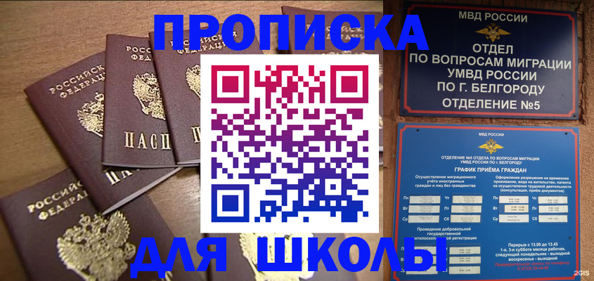 прописка гарантия в Дальнегорске